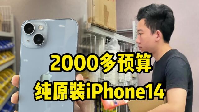 批发市场萧条,看看2000多预算纯原装iPhone14!