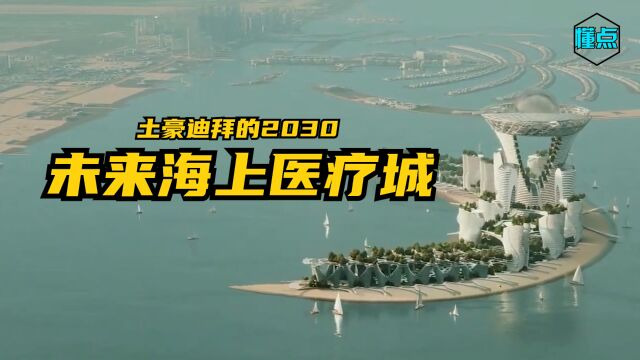 土豪迪拜的2030未来海上医疗城