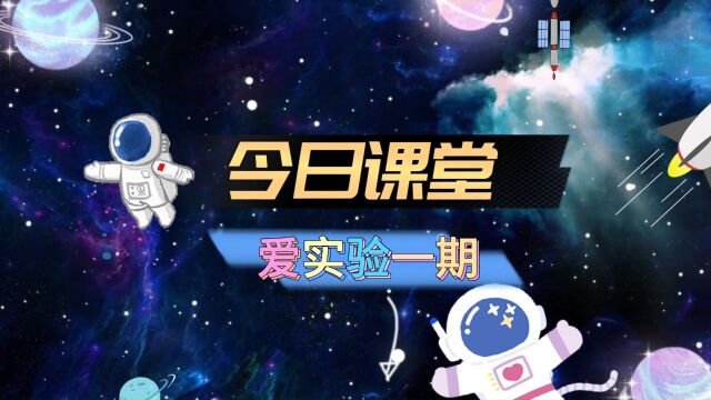 爱实验1期第6课《小猫钓鱼》