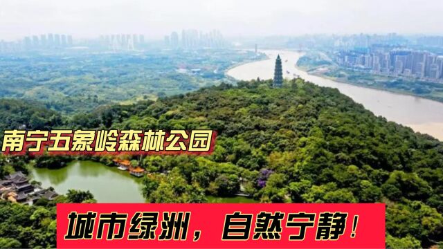 南宁五象岭森林公园:城市绿洲,自然宁静!