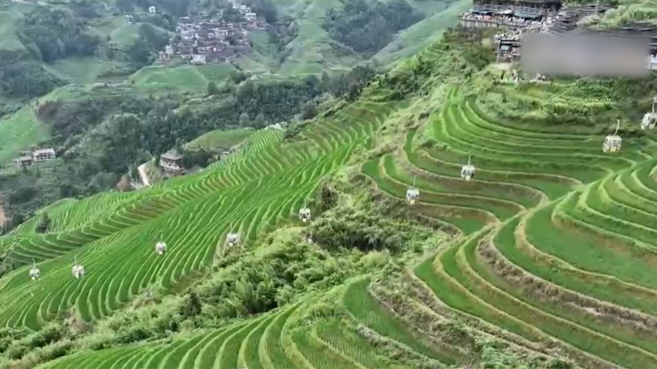 广西大寨村:梯田美景,红瑶文化,沉浸式体验引爆旅游热潮