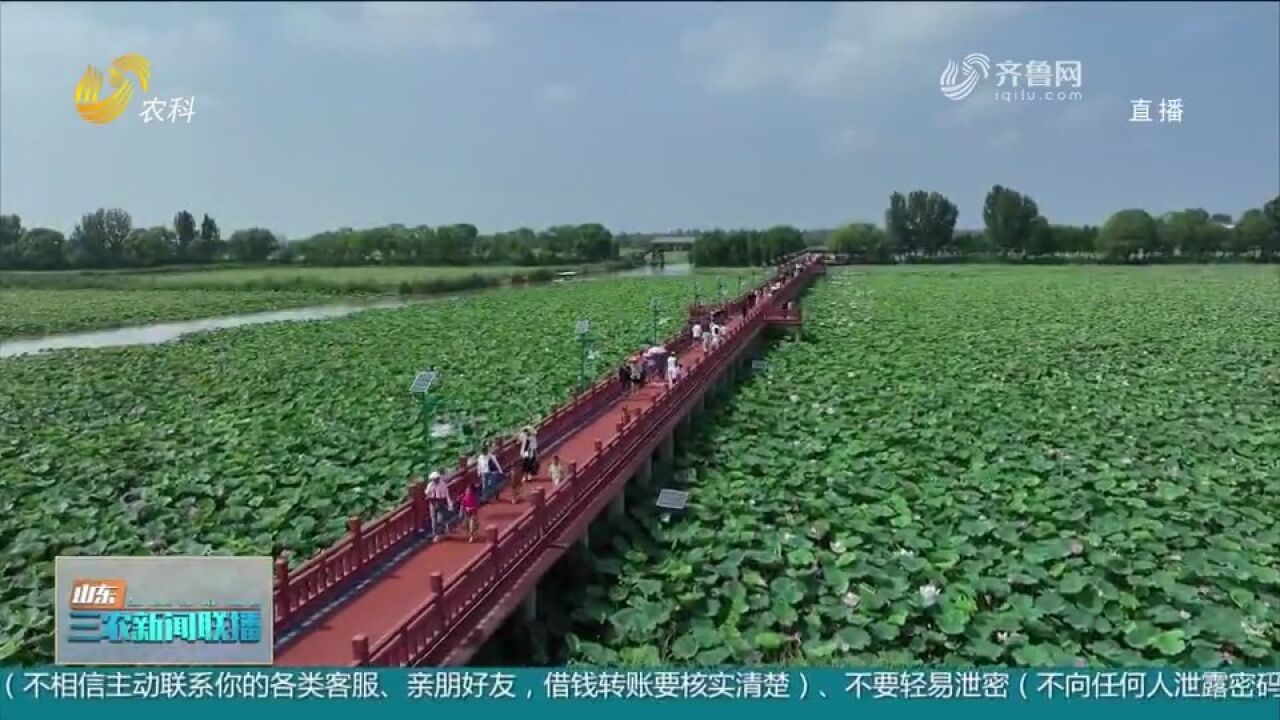 微山:“跨村联建”打造特色湖区文旅产业,实现富民强村