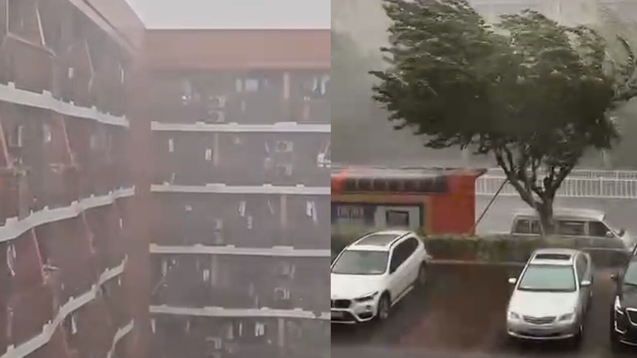 杭州突降冰雹:现场雹体砸地噼啪作响 局地有10级雷雨大风