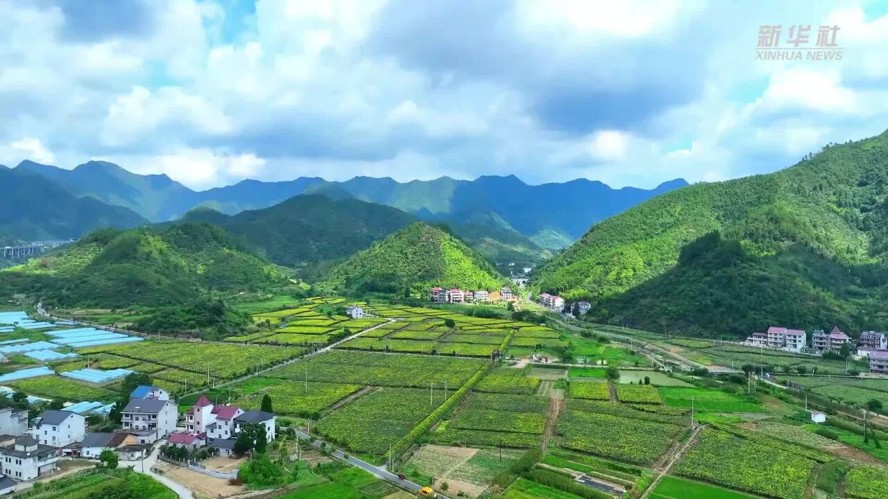 浙江:农光互补赋能乡村“零碳”共富