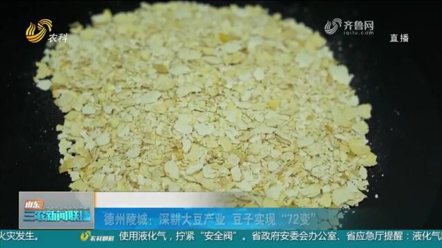 德州陵城:以科技深耕大豆产业,让一粒豆子实现“72变”