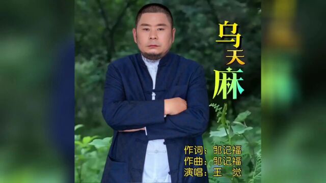 王觉  乌天麻『帅鑫唱片KTV推荐』