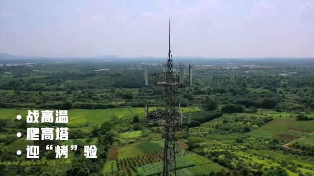 战高温、迎“烤”验,潍坊联通铺就5G“信息高速公路”!