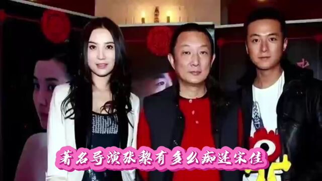 让导演张黎着迷,打败章子怡,使孙俪当众黑脸的宋佳,到底有多牛