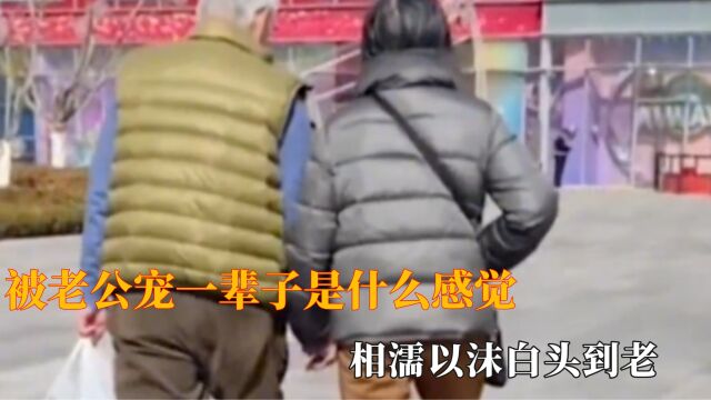 被老公宠一辈子是什么感觉,相濡以沫白头到老,说的就是如此吧