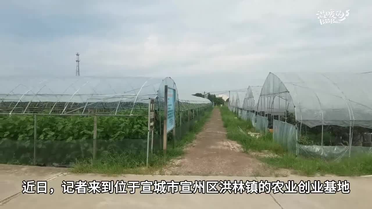 做家乡泥土地的“生物学霸”