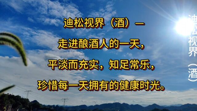 迪松视界(酒)—走进酿酒人的一天,平淡而充实,知足常乐,珍惜每一天拥有的健康时光.