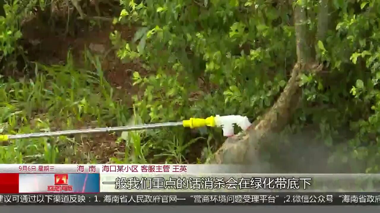 海南疾控发布登革热防控提醒 常见症状及防范措施请收好