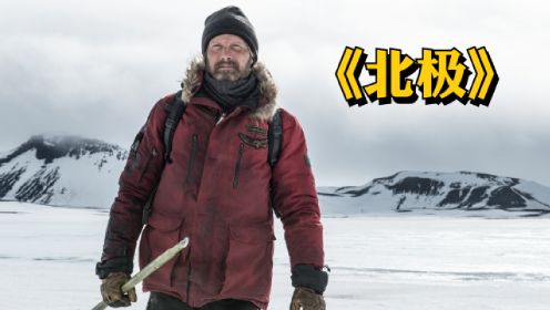冒险电影《北极》男人被困北极长达十二个月，勇敢的自救经历，让人感动敬佩