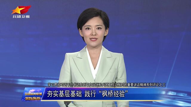 夯实基层基础 践行“枫桥经验”——学习贯彻习近平总书记在听取自治区和兵团工作汇报时的重要讲话精神系列评论之三