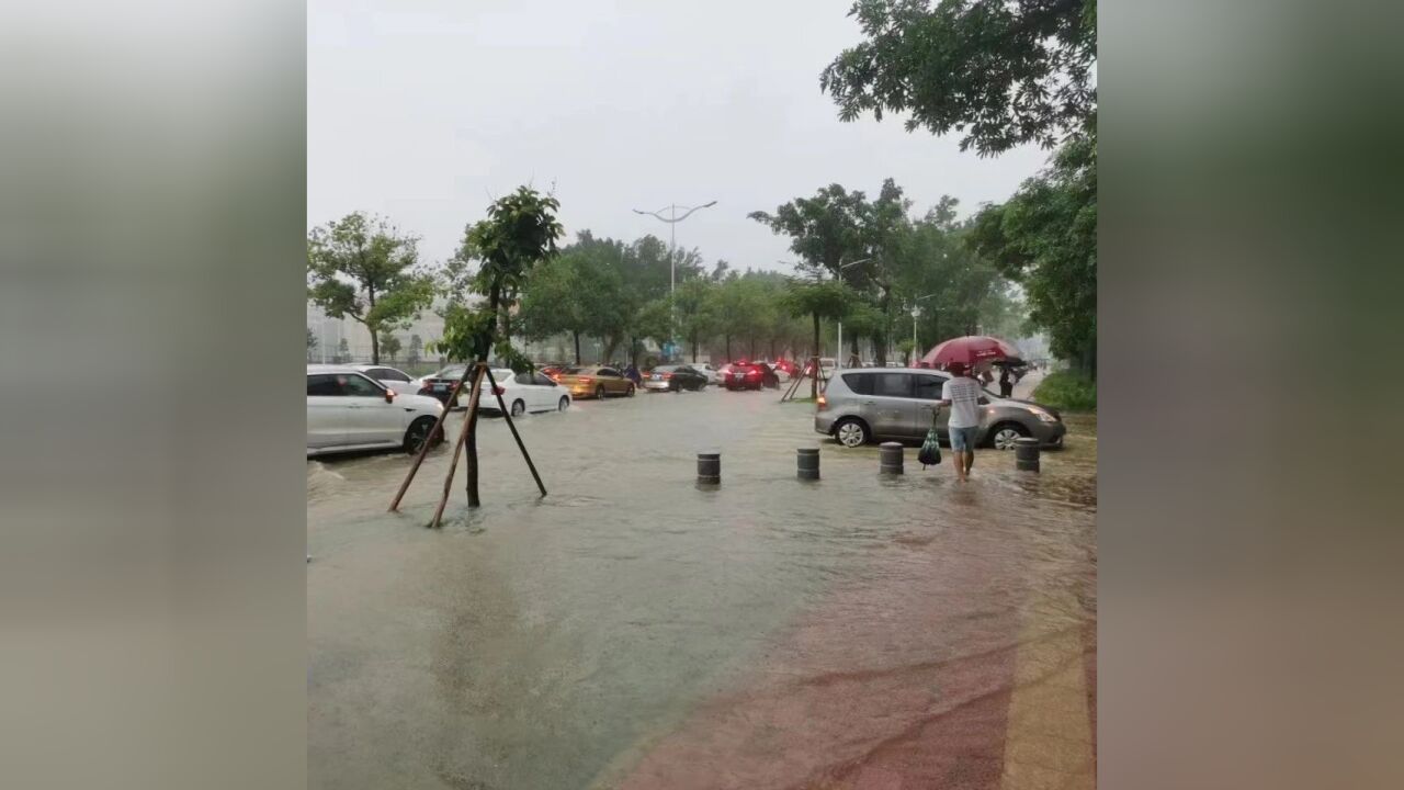 阳江部分地区暴雨红色预警高挂!市气象局预计降水仍将持续