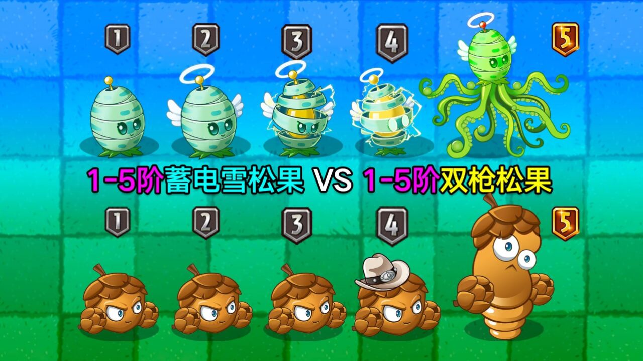 15阶蓄电雪松果VS15阶双枪松果!谁才是松果之神?