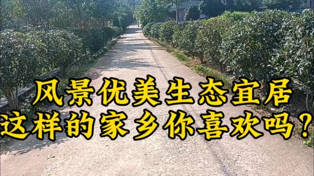 风景优美生态宜居,这样的家乡你喜欢吗?