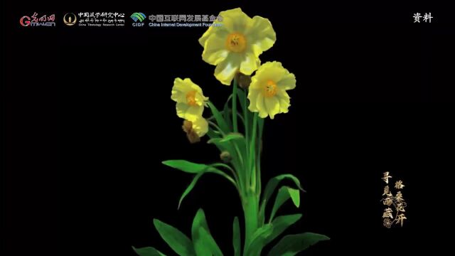 【寻觅西藏ⷦ 𜦡‘花开】产之有地:神奇草药在哪里