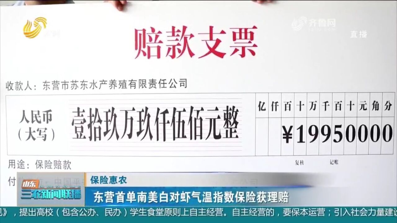 东营首单南美白对虾气温指数保险获理赔,养殖企业获199500元赔偿