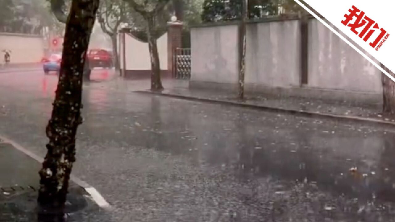 上海浦东新区发布暴雨红色预警 局地将出现1小时100毫米以上短时强降水