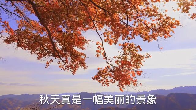 秋天到了,农民笑了