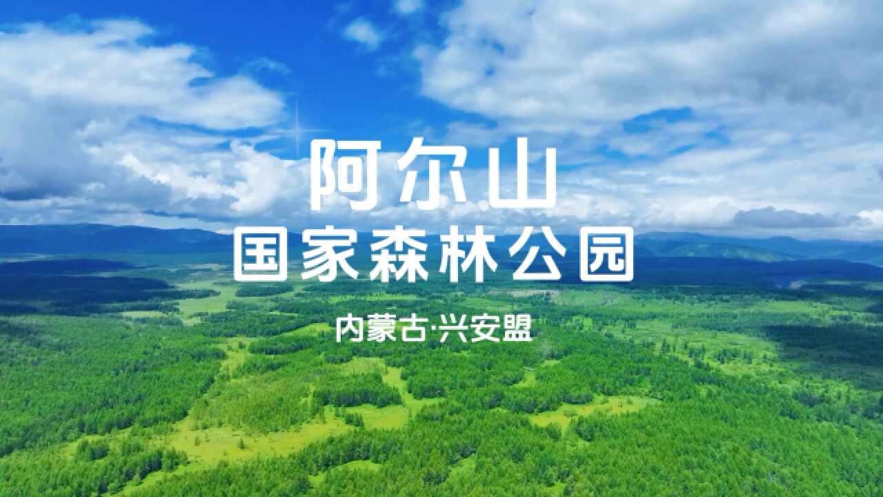 青山绿水看内蒙古|兴安盟:阿尔山国家森林公园,一场净化心灵之旅