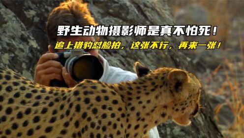 摄影师追上猎豹怼脸拍，路过鬣狗再怼两张，虽然弱小但却极其勇敢！