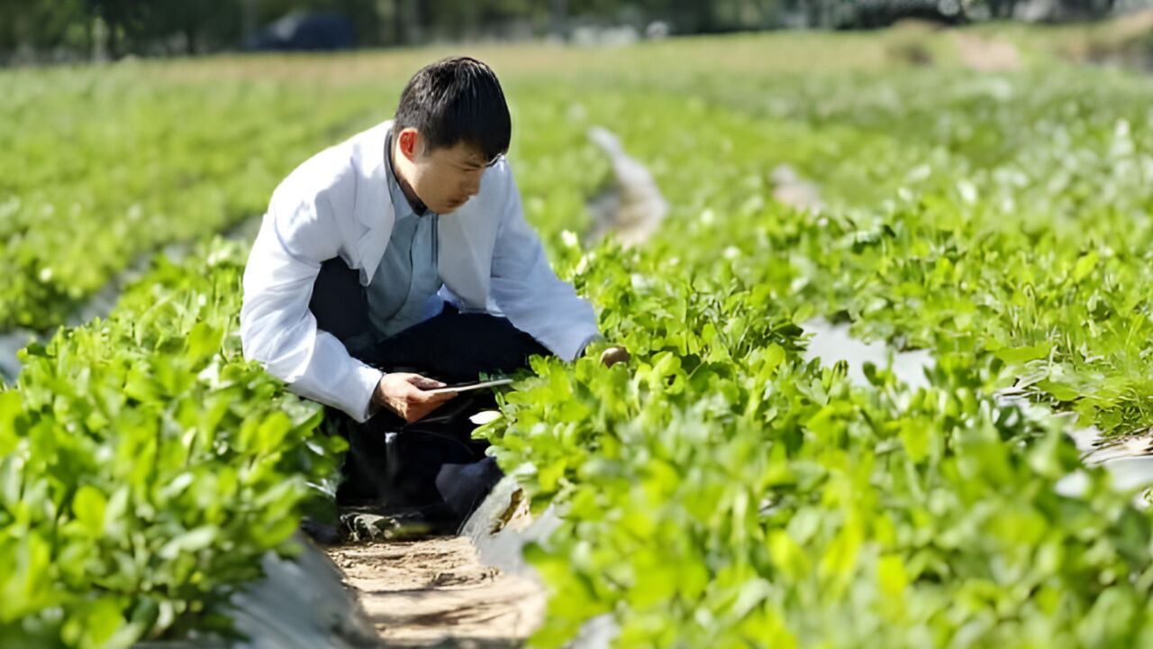 大学生、海归、企业家……10年间1220万人返乡当了新农人