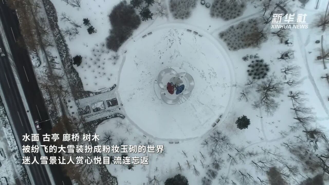 千城胜景|河北滦南:银装素裹别样美 北河雪景沁心扉