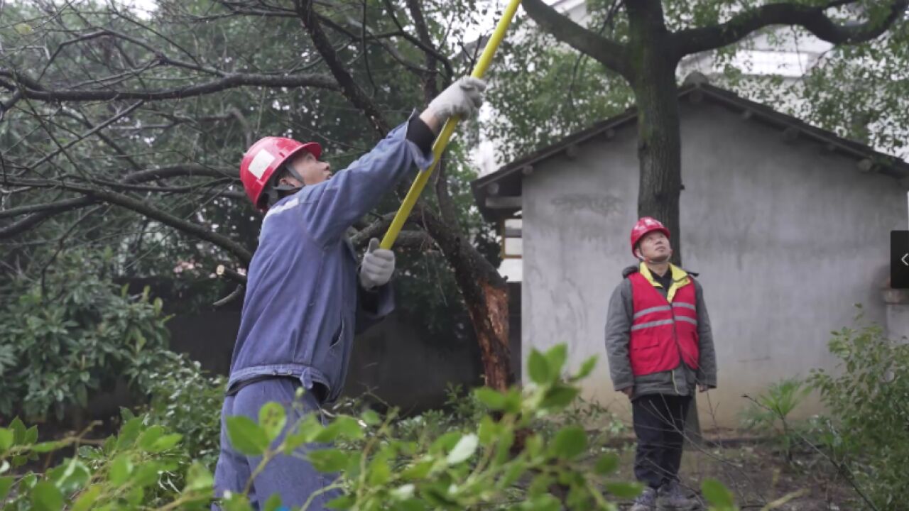 国网益阳供电公司:全力应对冰冻雨雪天气