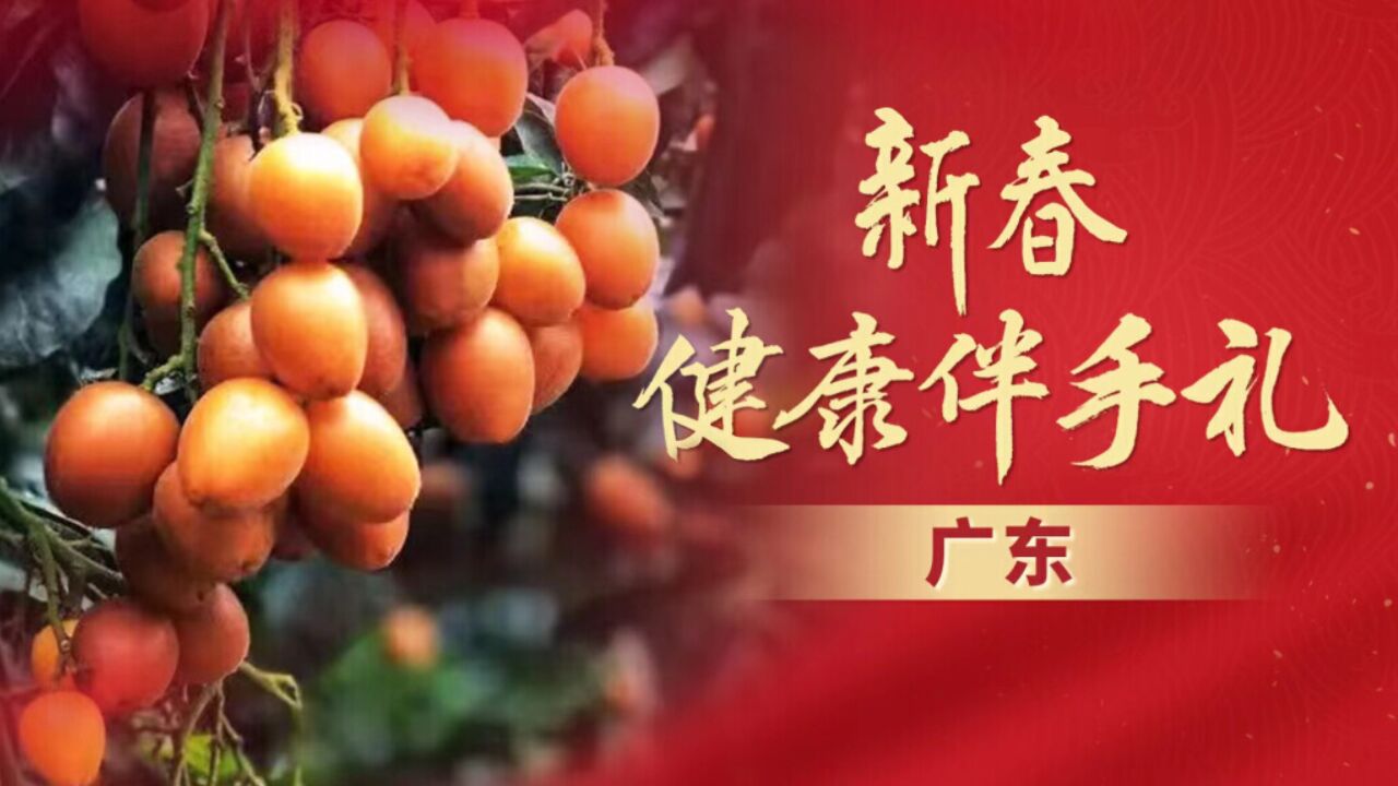 新春健康伴手礼⑤|广东云浮黄皮,清甜甘爽正气果