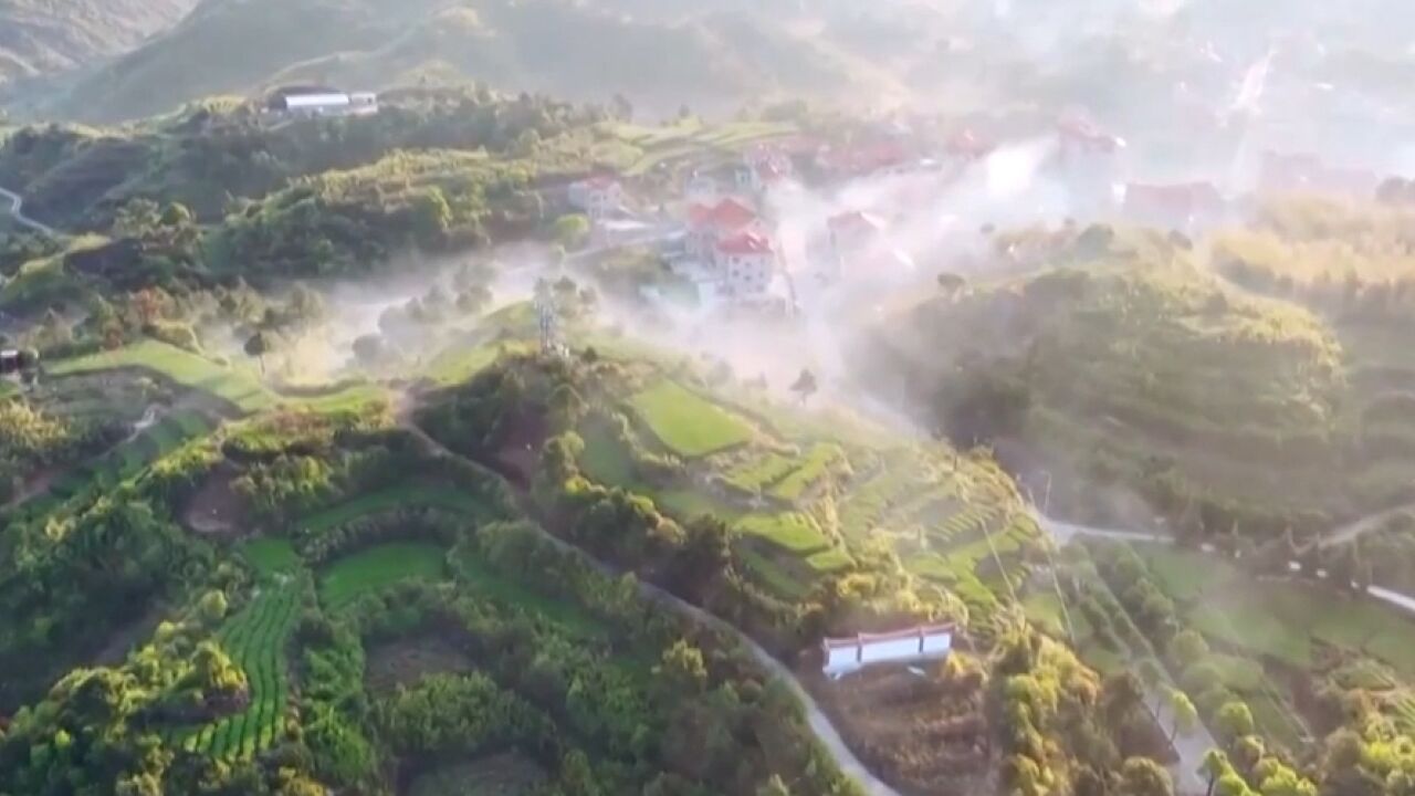 厦门生态文明实践:从山顶到海洋绘就美丽画卷