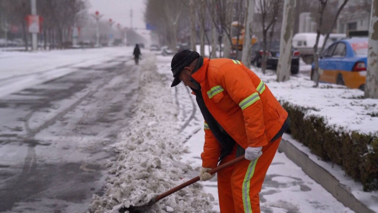 聊城市茌平区:全力以赴应对寒潮雨雪大风天气