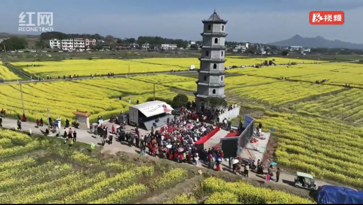 苏仙:油菜花文化旅游节开幕 千亩花海引客来