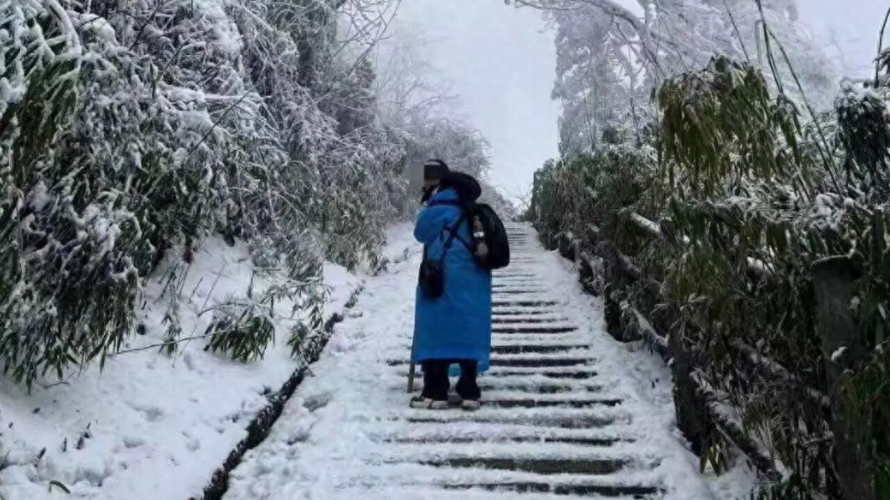 23岁女大学生峨眉山旅游失联40多天后,遗体在山崖下被找到,其母发声