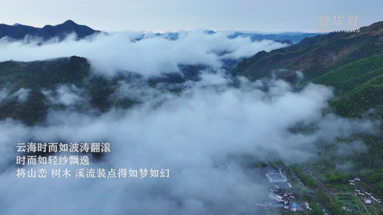 安徽牯牛降风景区:云海景观如梦如幻