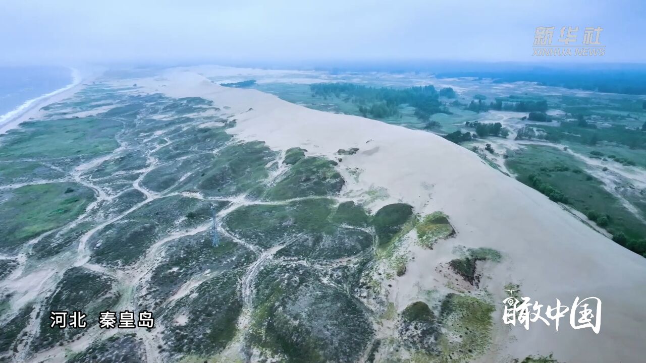 瞰中国丨海岸沙丘 生态奇观