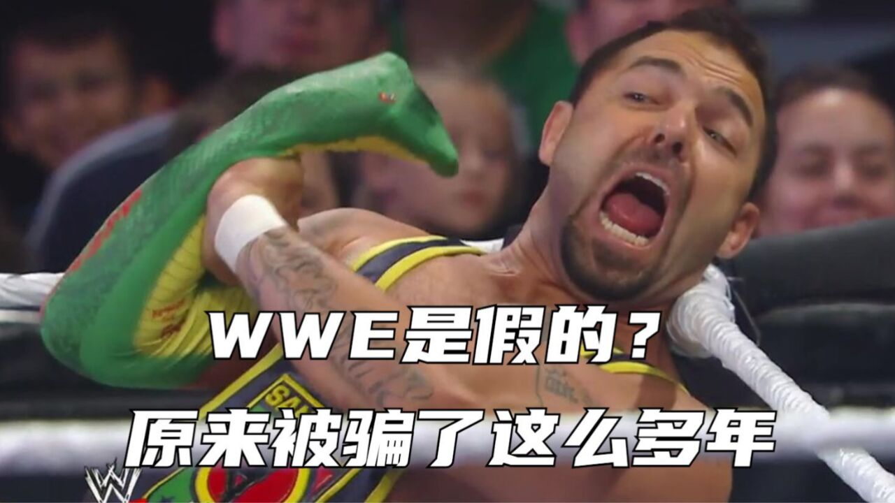 WWE是假的?这些秘密骗了我们这么多年!