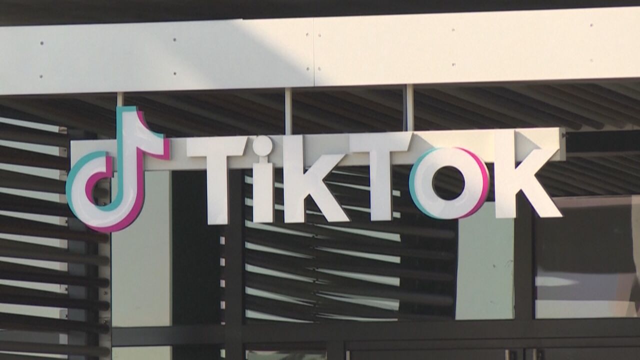 美国大选年“驴象”相争加剧 TikTok在美运营前景未知