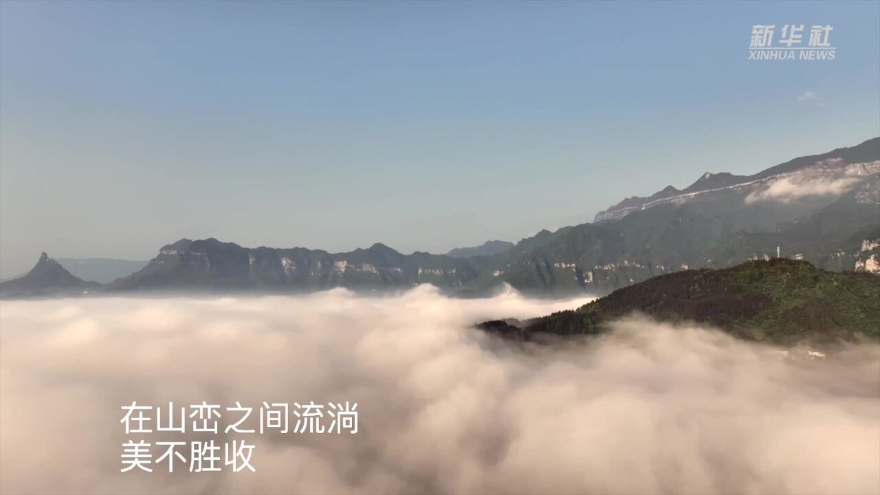 飞阅中国|重庆金佛山:云绕山峦