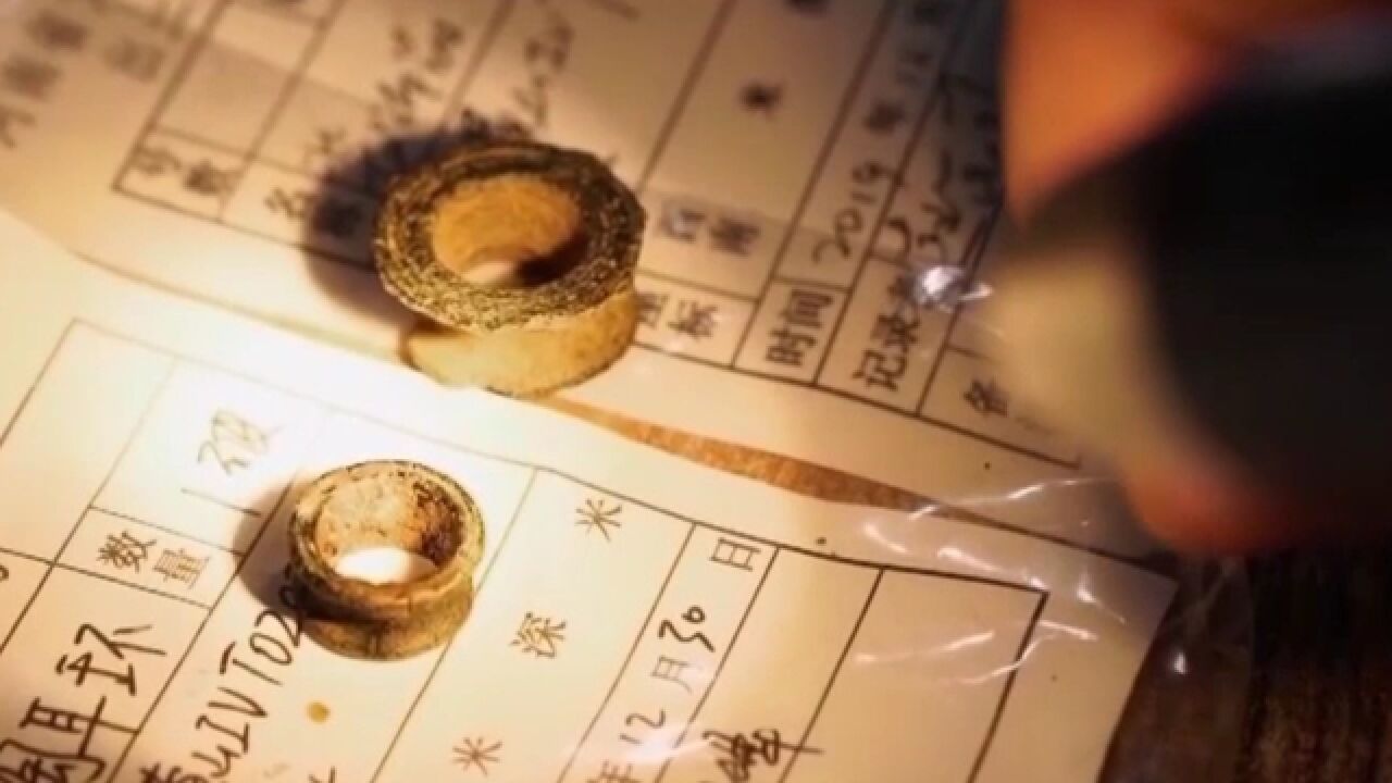 4000年耳饰挖出来时,还以为是陶耳环,没想到竟是玉耳坠