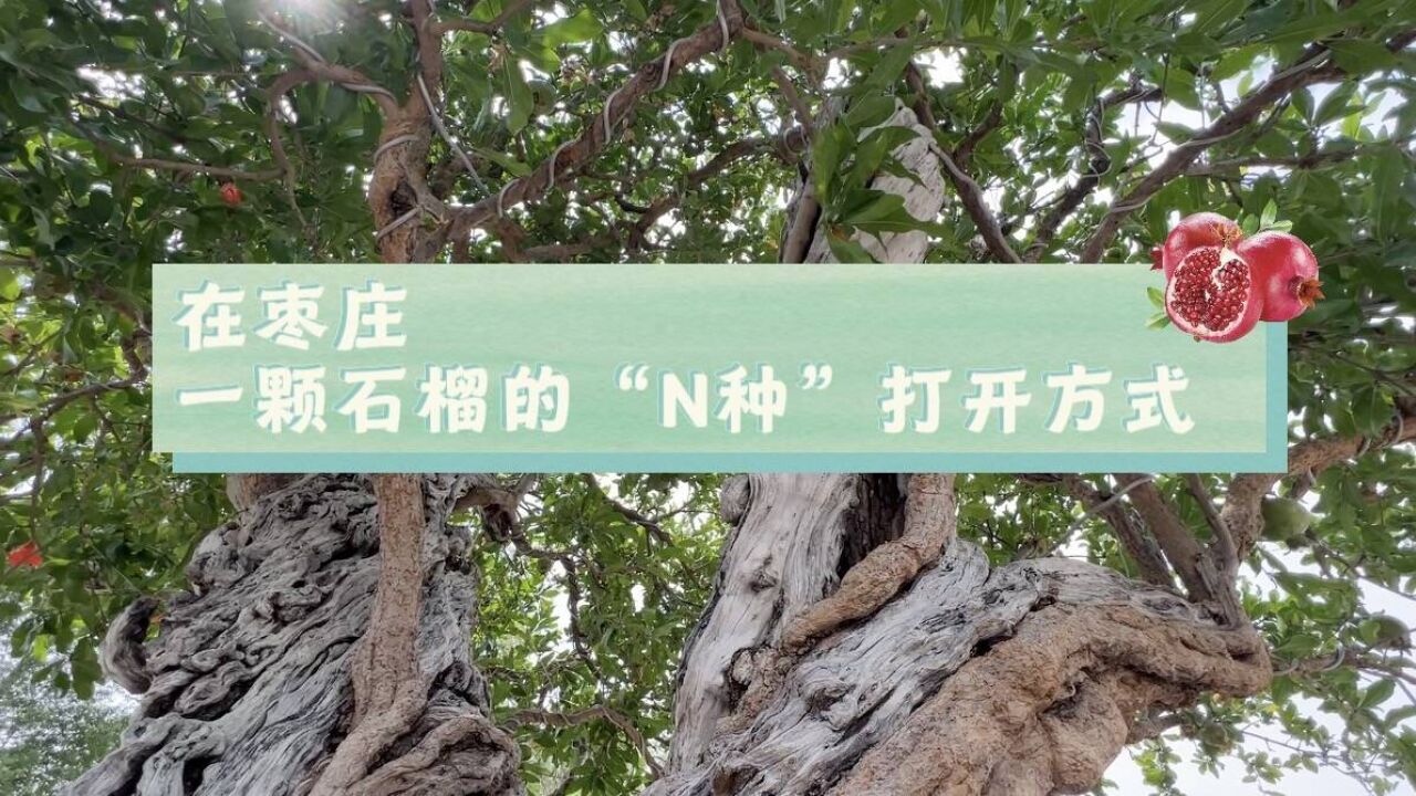 一颗石榴的“N种”打开方式