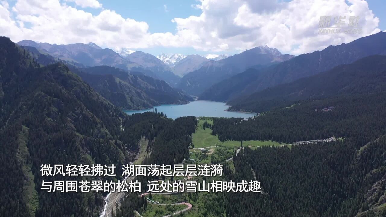 天山天池:湖光山色惹人醉