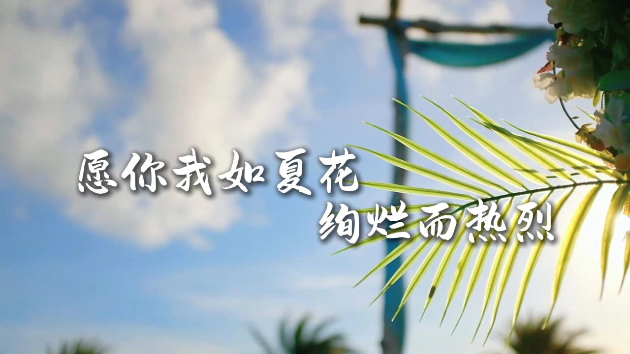 夏至:愿你我如夏花 绚烂而热烈