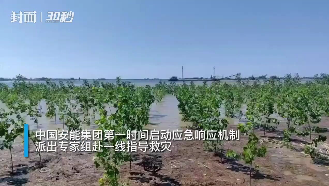 洞庭湖决口,中国安能第一批队员正紧急抢险|30秒