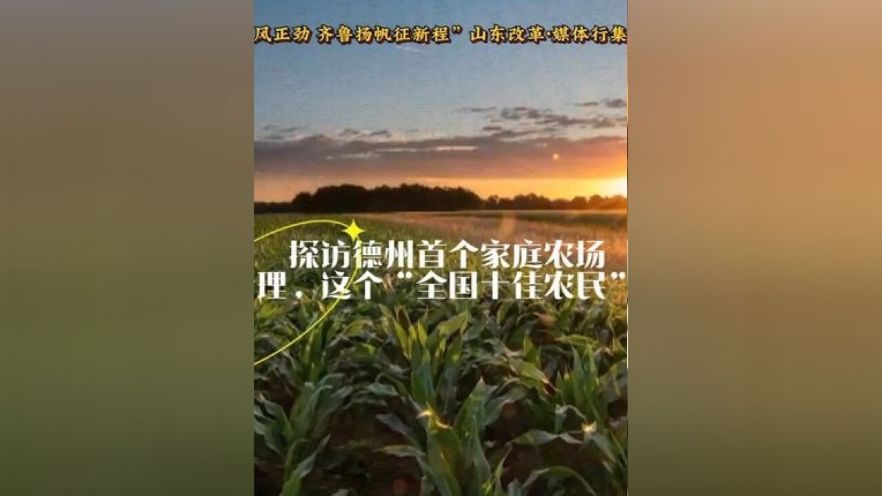 探访德州首个家庭农场:玉米管理,这个“全国十佳农民”有妙招