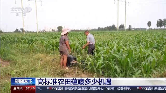 什么是高标准农田技术标准 640