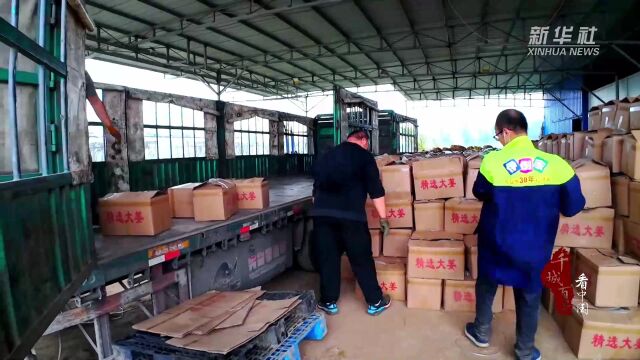 [南方生姜网-图片加载]
