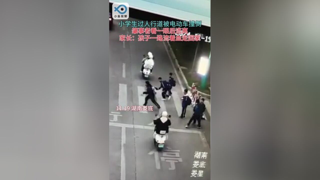 小学生过人行道被撞,肇事者看一眼后逃离.家长:孩子当时一路流着血走回家,哪怕带去诊所都行.原视频:伤痕累累