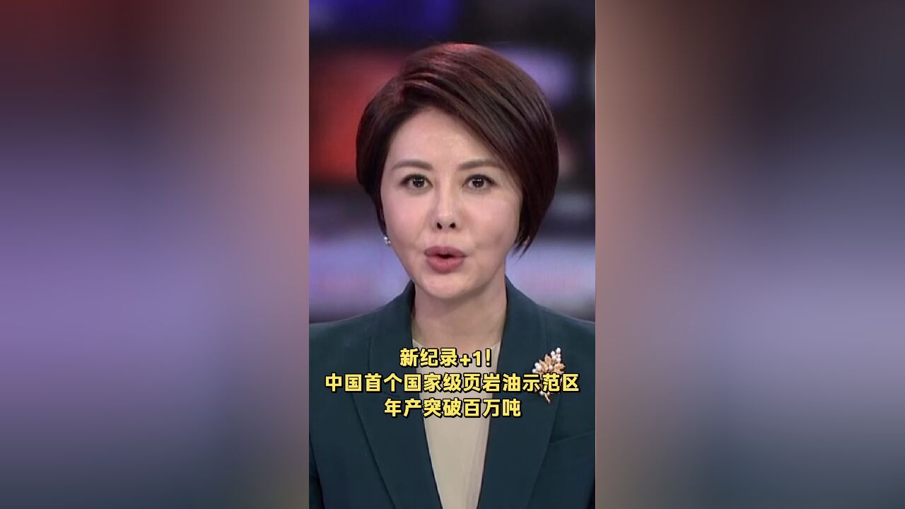 新纪录+1!中国首个国家级页岩油示范区年产突破百万吨